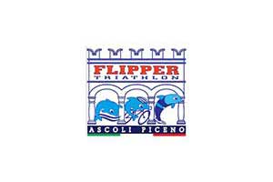 Logo flipper